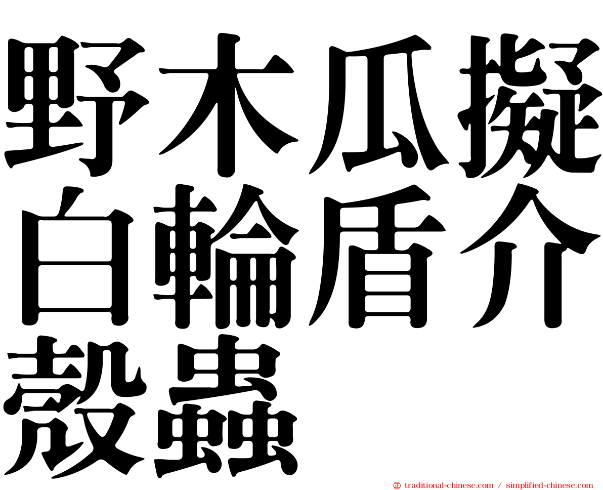 野木瓜擬白輪盾介殼蟲