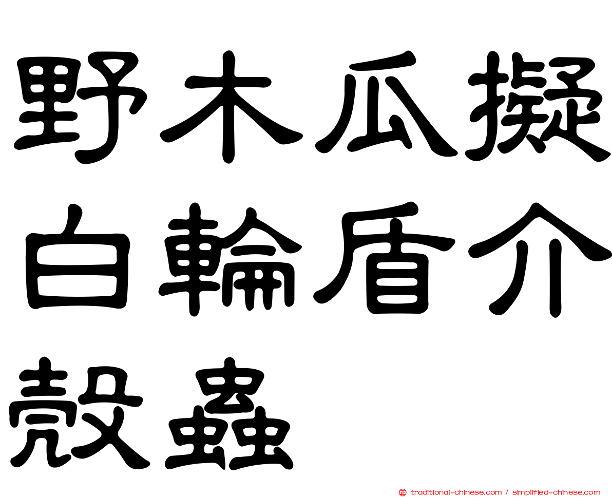 野木瓜擬白輪盾介殼蟲