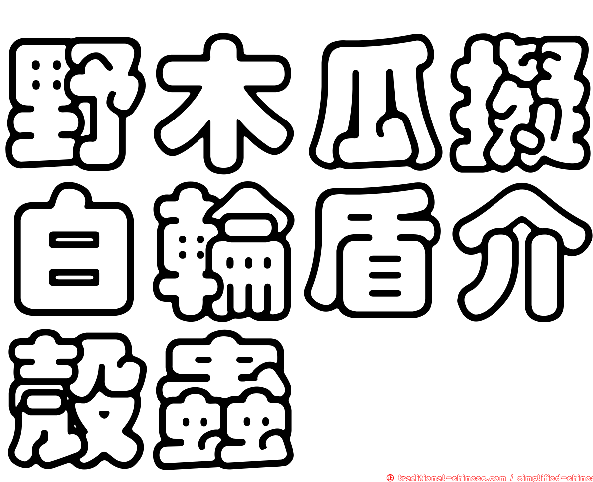 野木瓜擬白輪盾介殼蟲