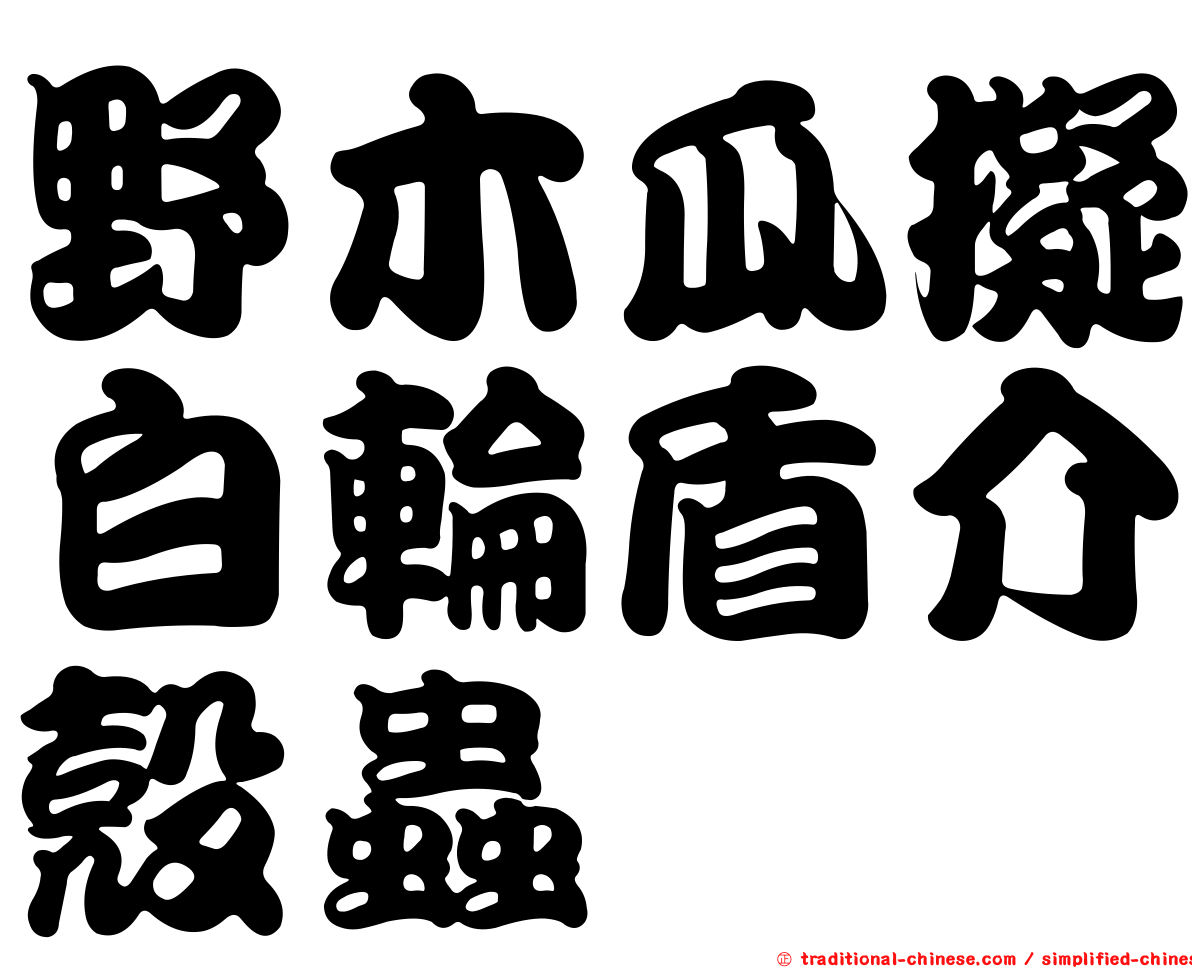 野木瓜擬白輪盾介殼蟲