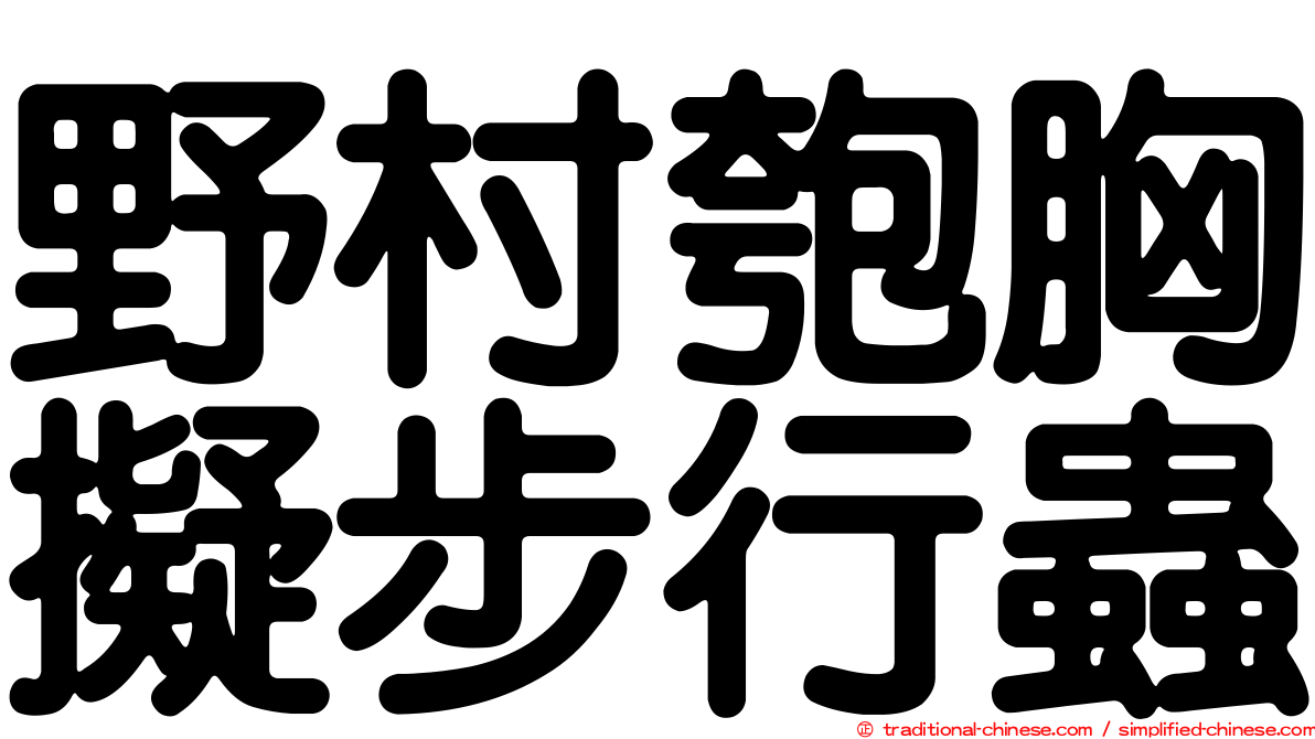 野村匏胸擬步行蟲