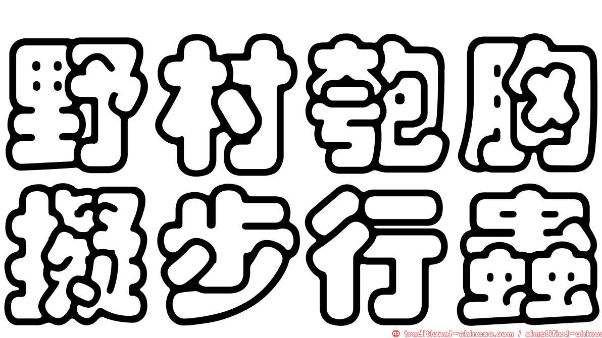 野村匏胸擬步行蟲