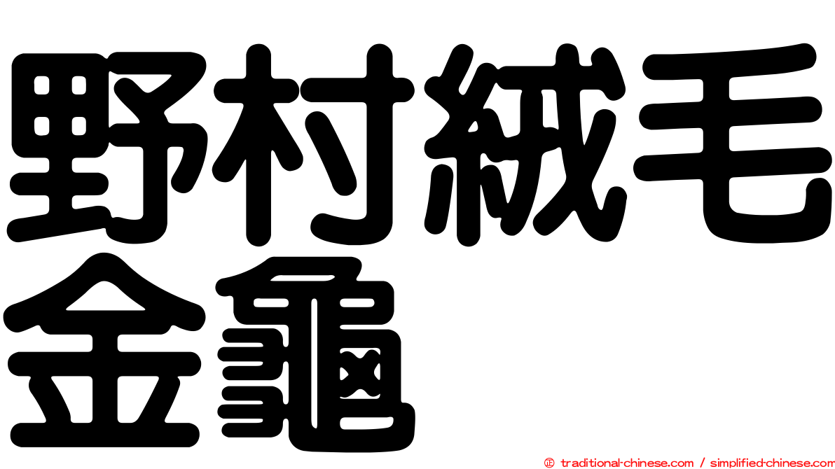 野村絨毛金龜