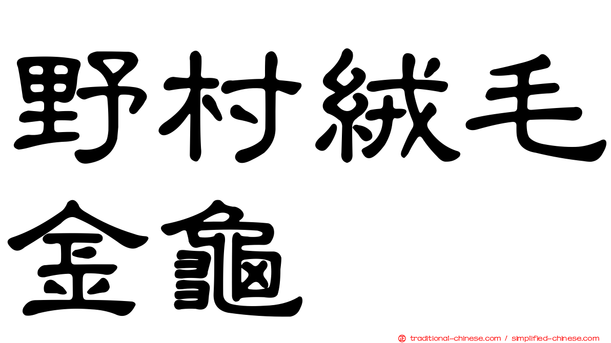 野村絨毛金龜