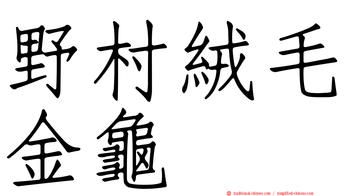 野村絨毛金龜
