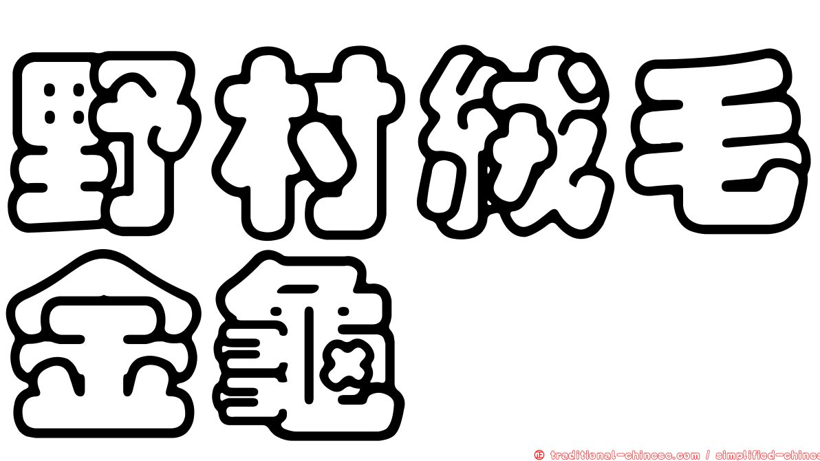 野村絨毛金龜