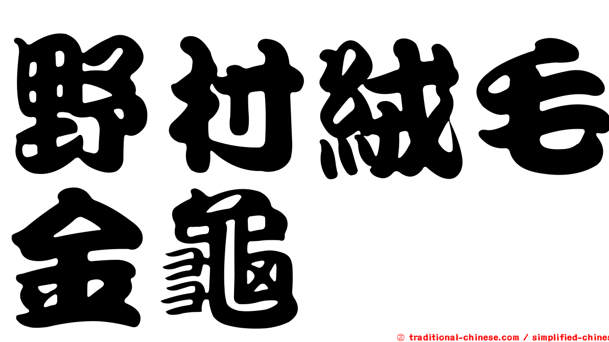 野村絨毛金龜