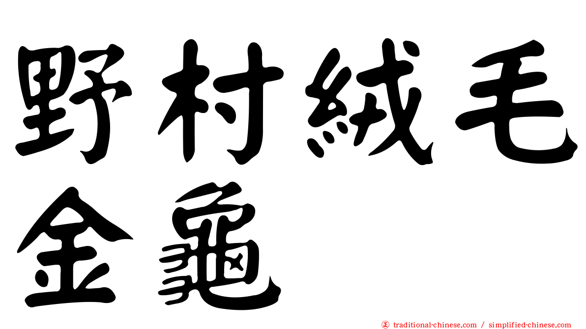 野村絨毛金龜