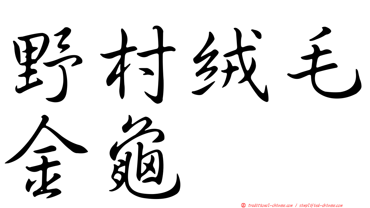 野村絨毛金龜
