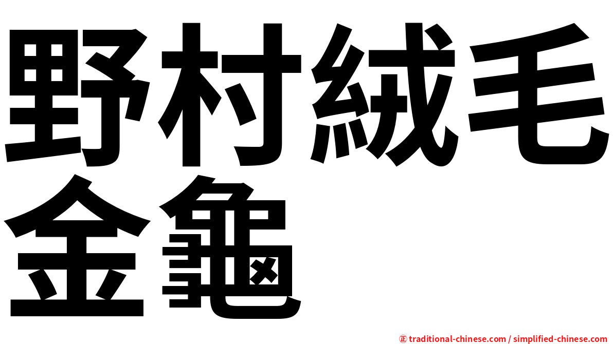 野村絨毛金龜