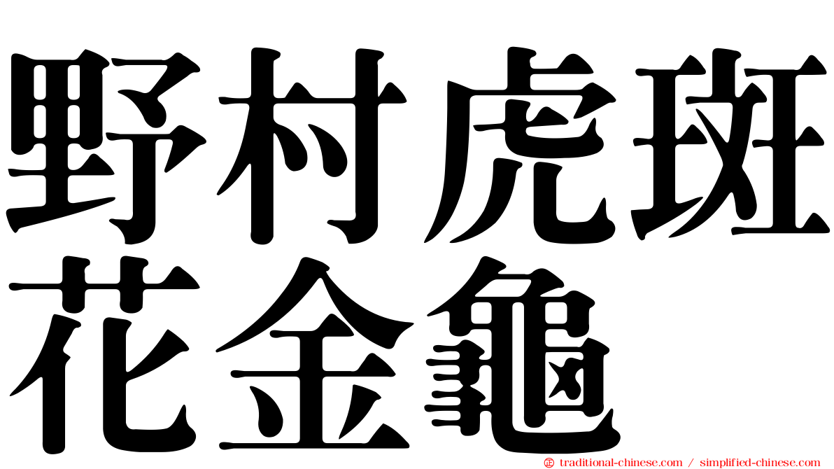 野村虎斑花金龜