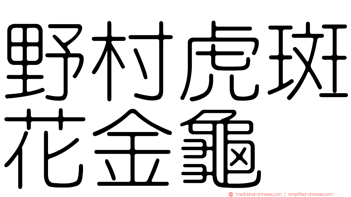 野村虎斑花金龜