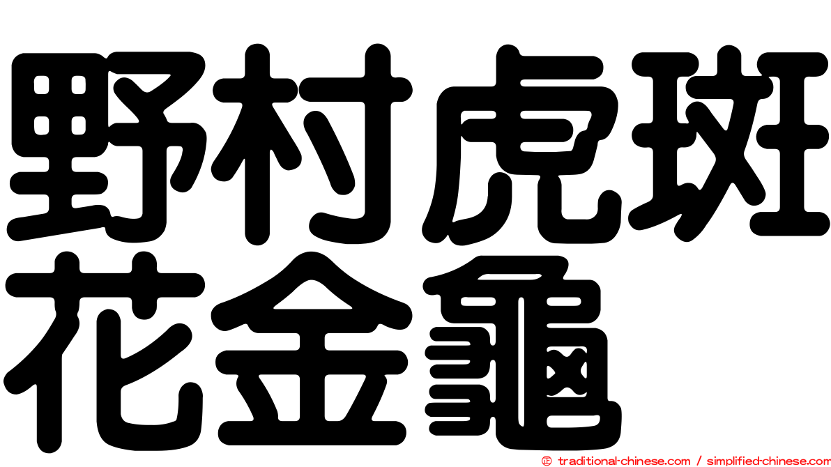 野村虎斑花金龜