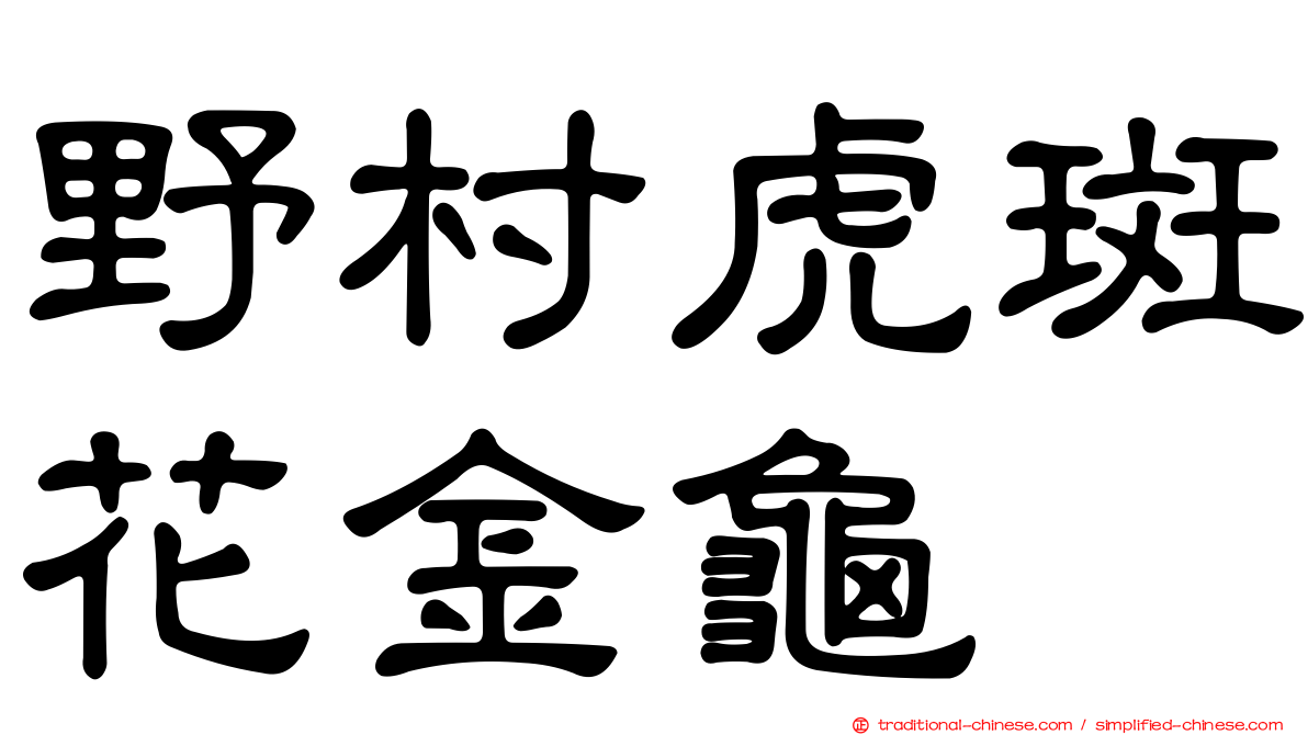 野村虎斑花金龜
