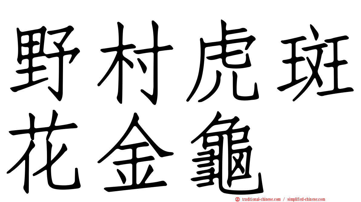 野村虎斑花金龜