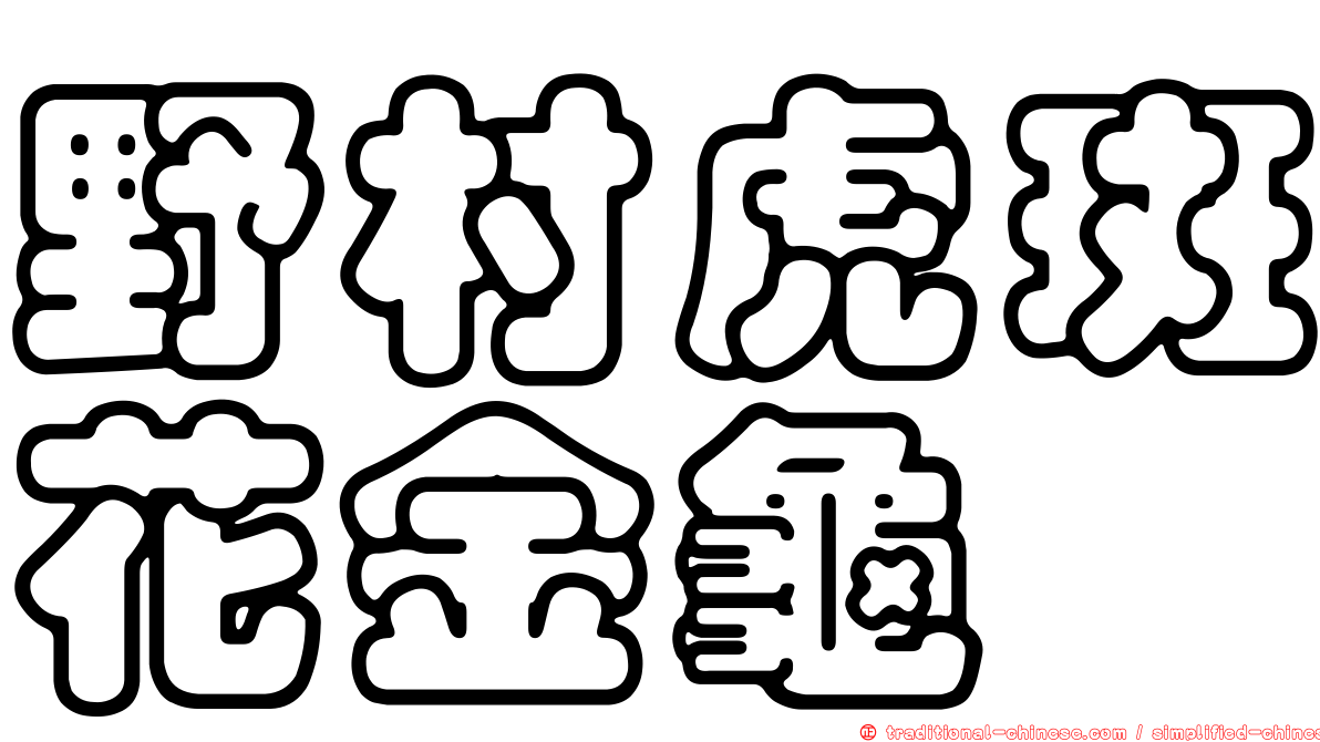 野村虎斑花金龜