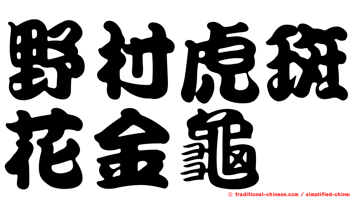 野村虎斑花金龜