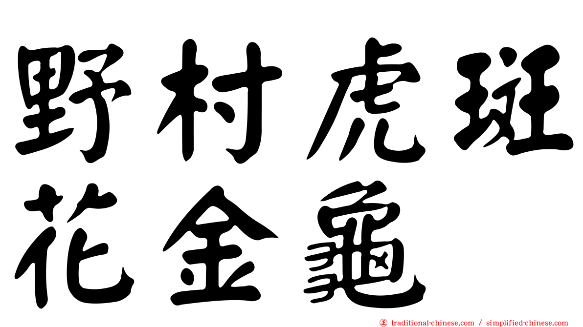 野村虎斑花金龜