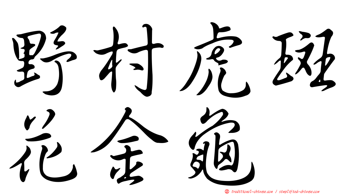 野村虎斑花金龜