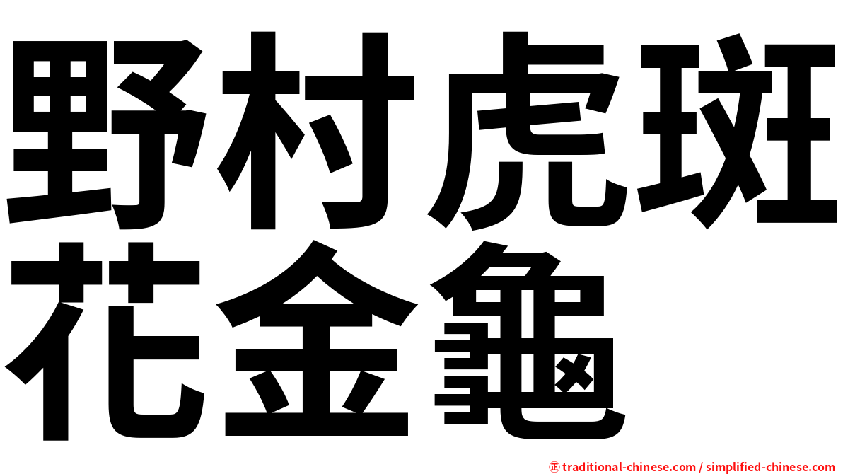 野村虎斑花金龜
