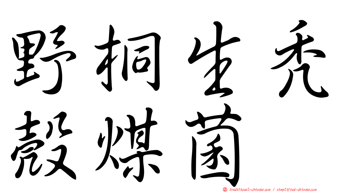 野桐生禿殼煤菌