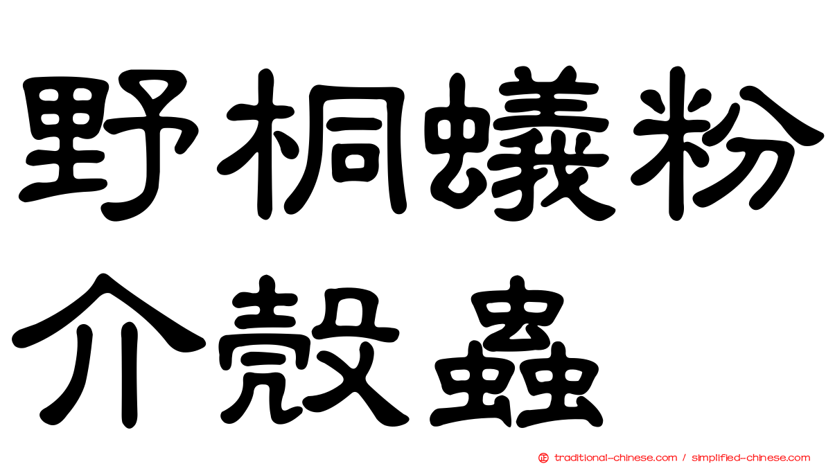 野桐蟻粉介殼蟲