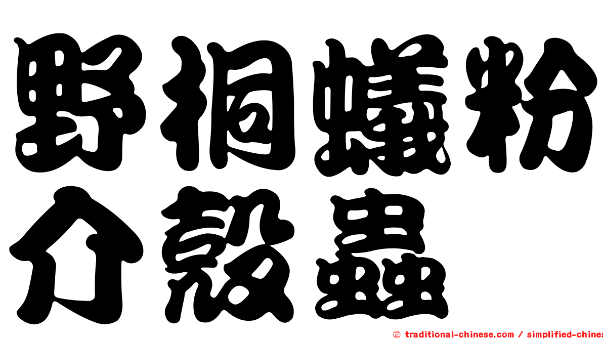 野桐蟻粉介殼蟲