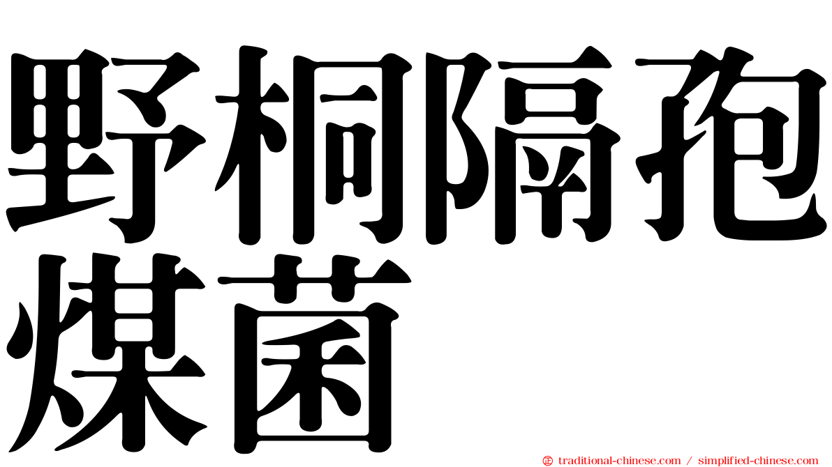 野桐隔孢煤菌