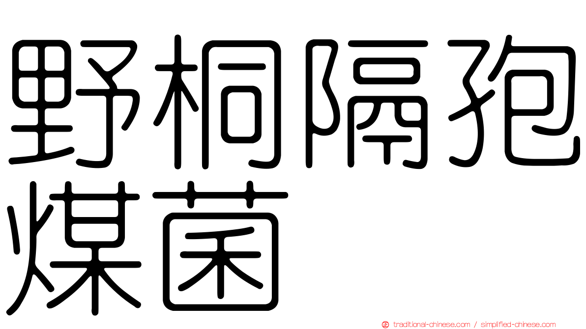 野桐隔孢煤菌