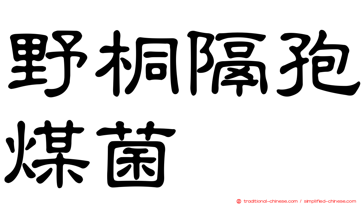 野桐隔孢煤菌