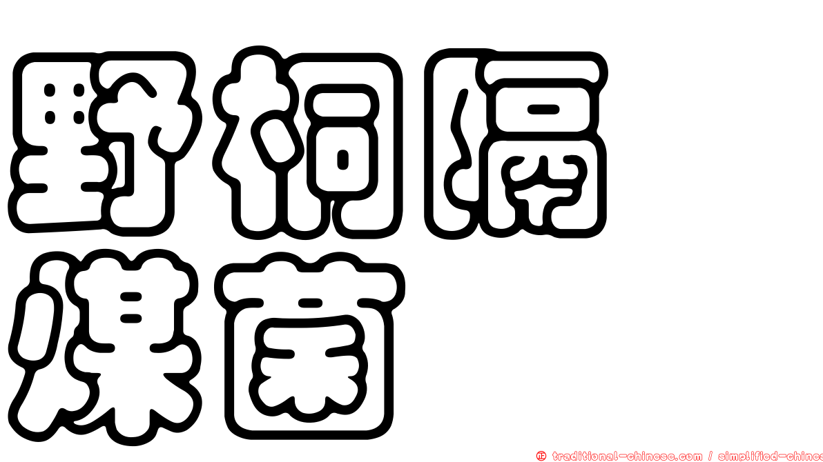 野桐隔孢煤菌