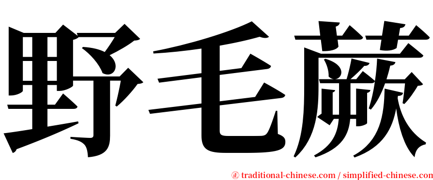 野毛蕨 serif font