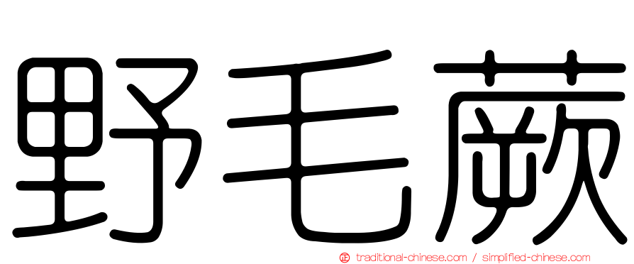 野毛蕨