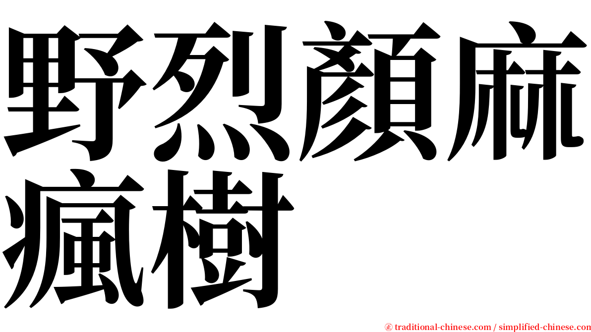 野烈顏麻瘋樹 serif font