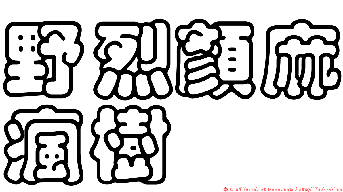 野烈顏麻瘋樹
