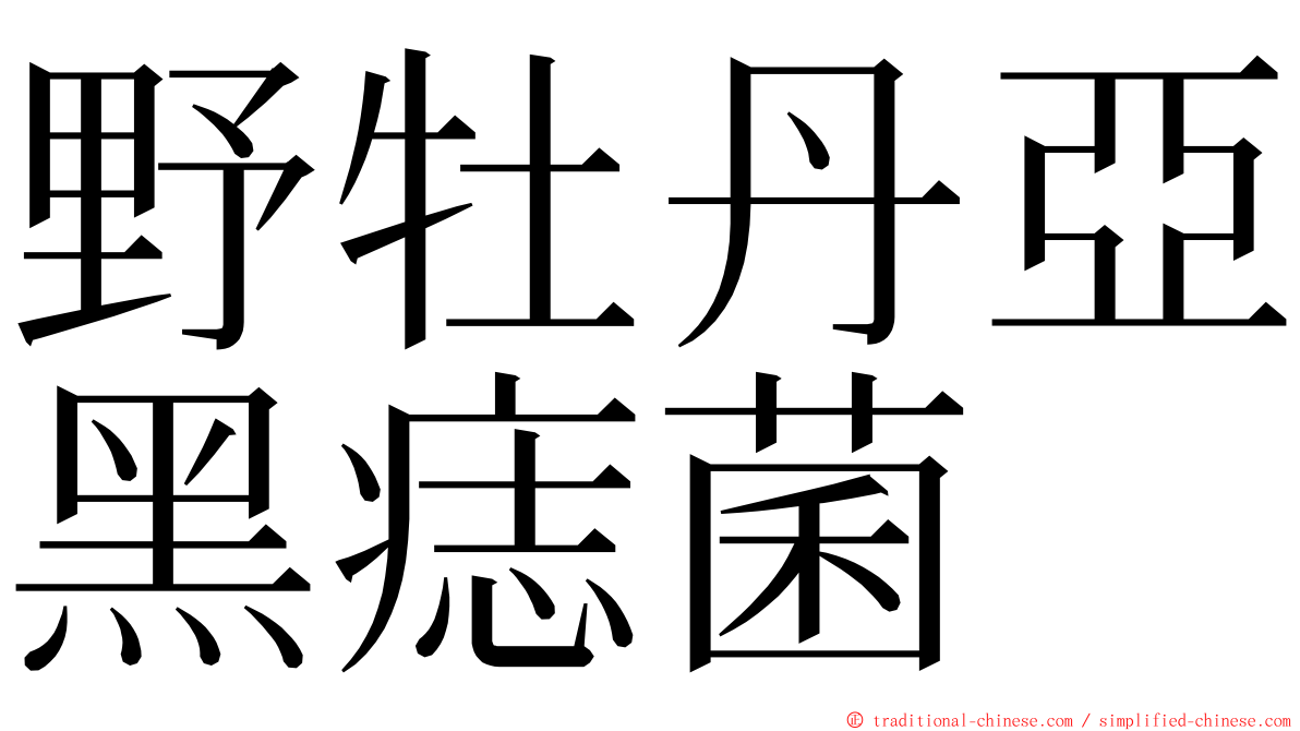 野牡丹亞黑痣菌 ming font