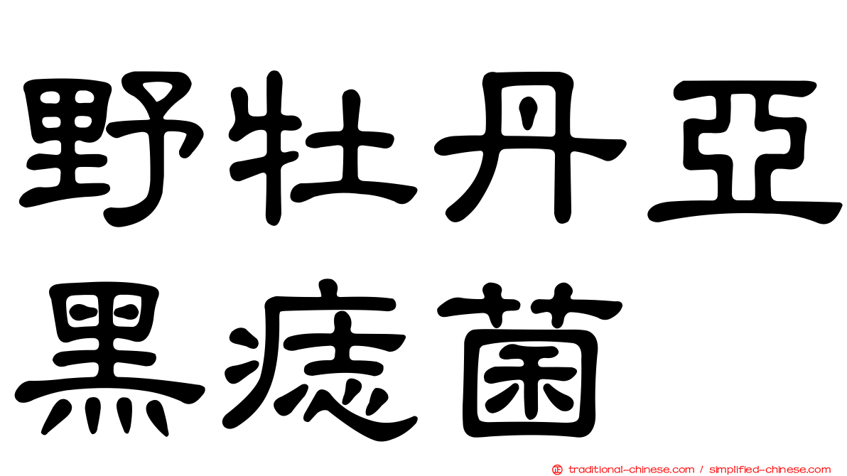 野牡丹亞黑痣菌