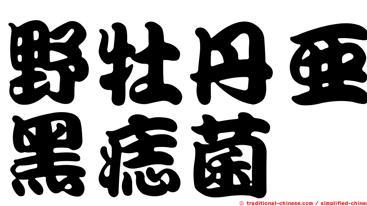 野牡丹亞黑痣菌