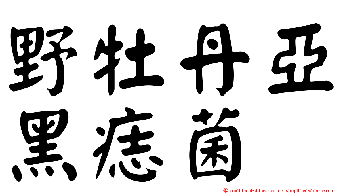 野牡丹亞黑痣菌