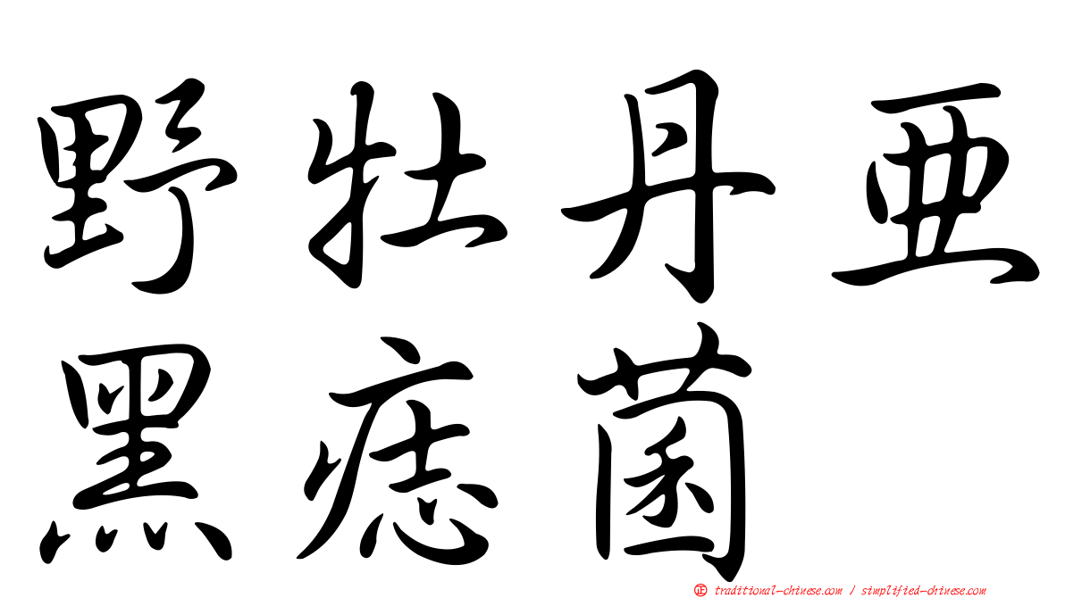 野牡丹亞黑痣菌