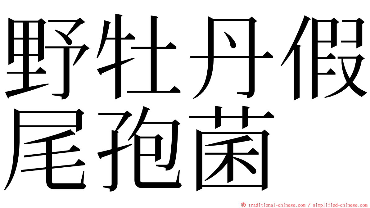 野牡丹假尾孢菌 ming font