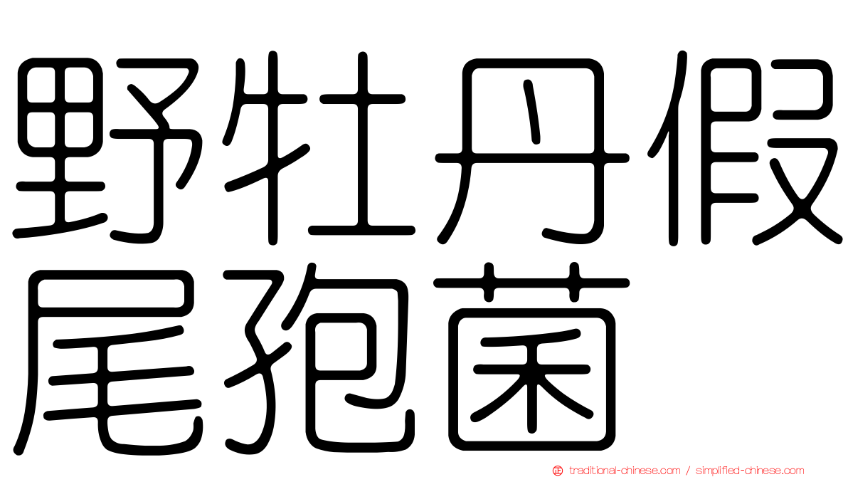 野牡丹假尾孢菌