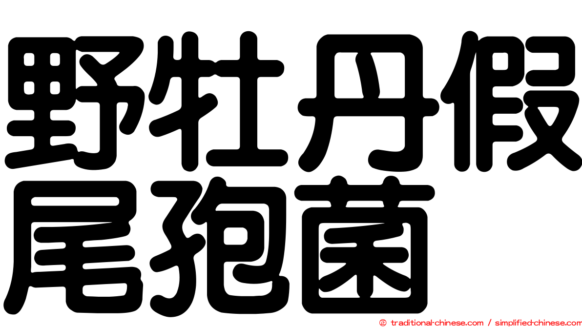 野牡丹假尾孢菌
