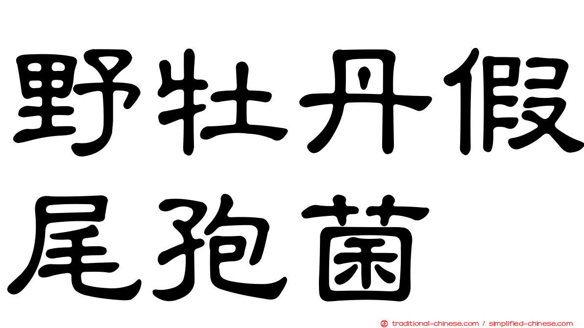 野牡丹假尾孢菌