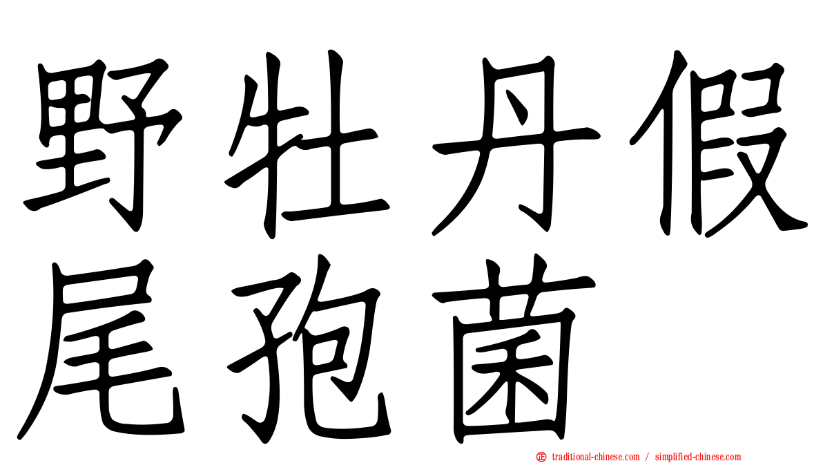 野牡丹假尾孢菌