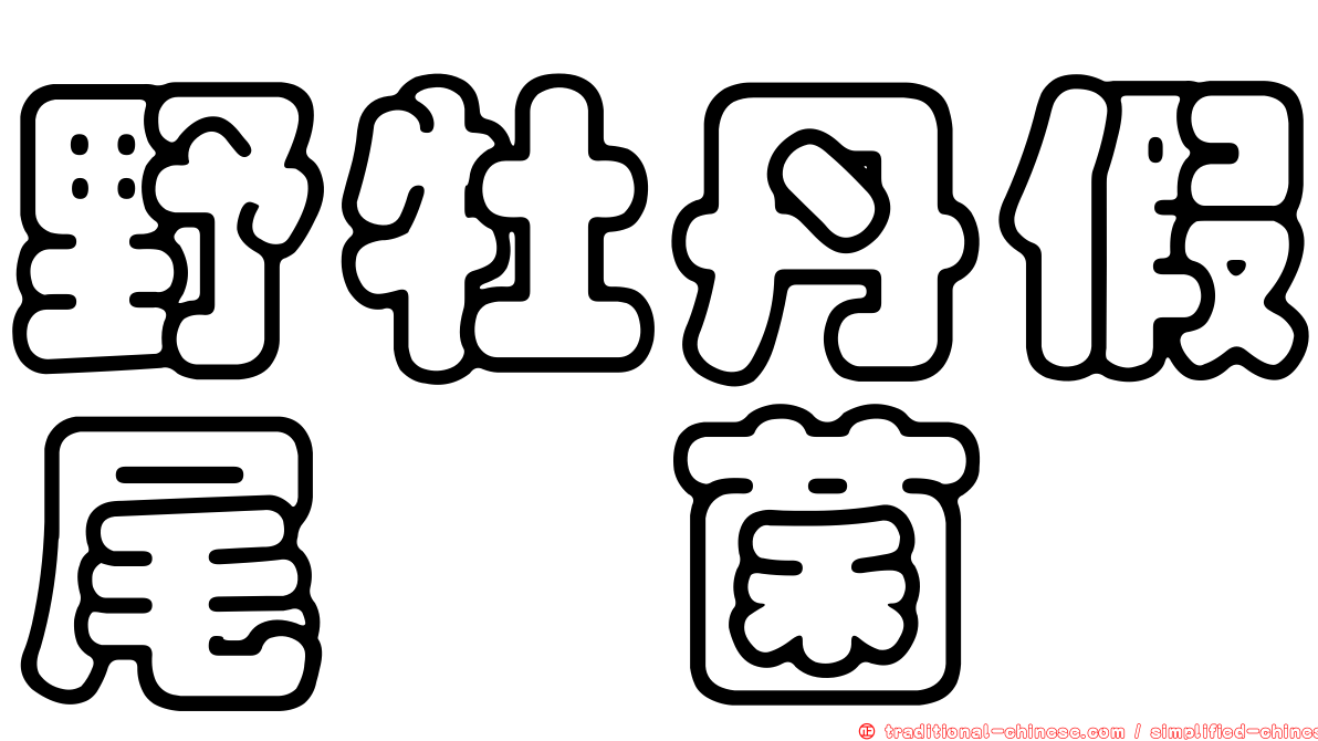 野牡丹假尾孢菌