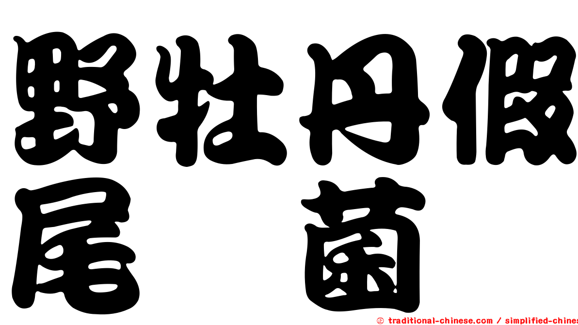 野牡丹假尾孢菌