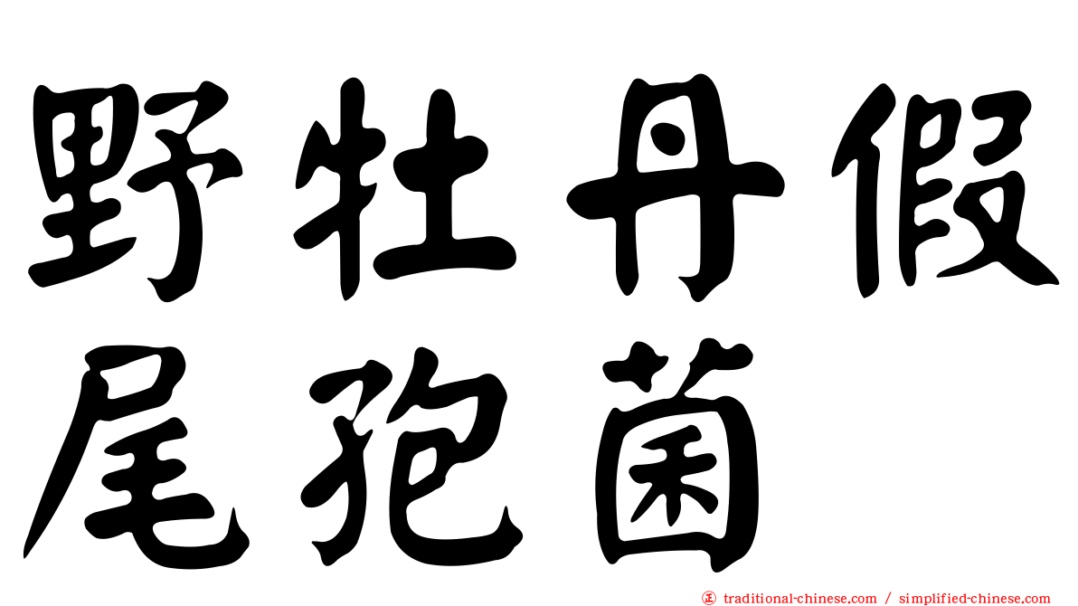野牡丹假尾孢菌