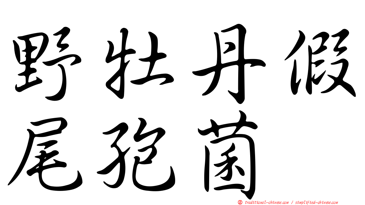 野牡丹假尾孢菌