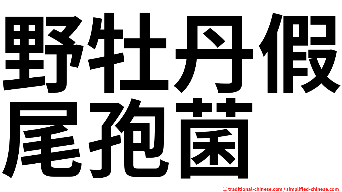 野牡丹假尾孢菌